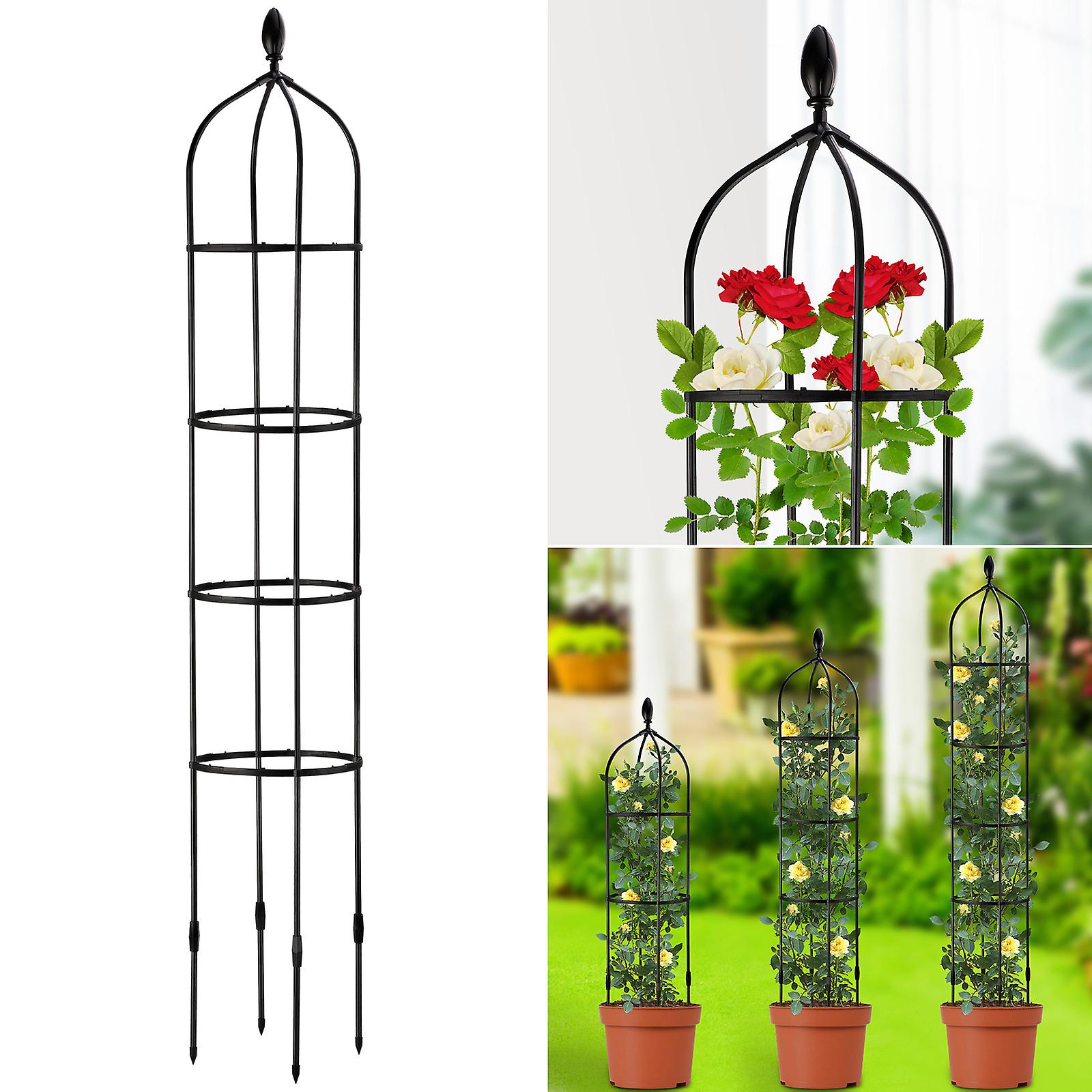 Fixed Frame Rose Holder with Support Pole for Indoor Climbing Vines