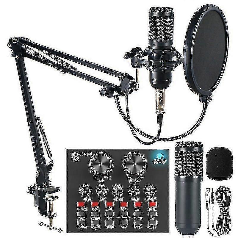 Professional Studio Audio Interface Recording External Live Bm-800 Karaoke Mic V8 Sound Card For Con