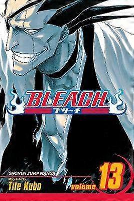 Bleach Vol. 13