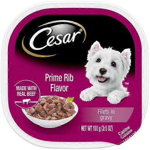Cesar 肉汁成年湿狗粮,上等肋骨,24 个/3.5 盎司,24 包(计数 24 个)