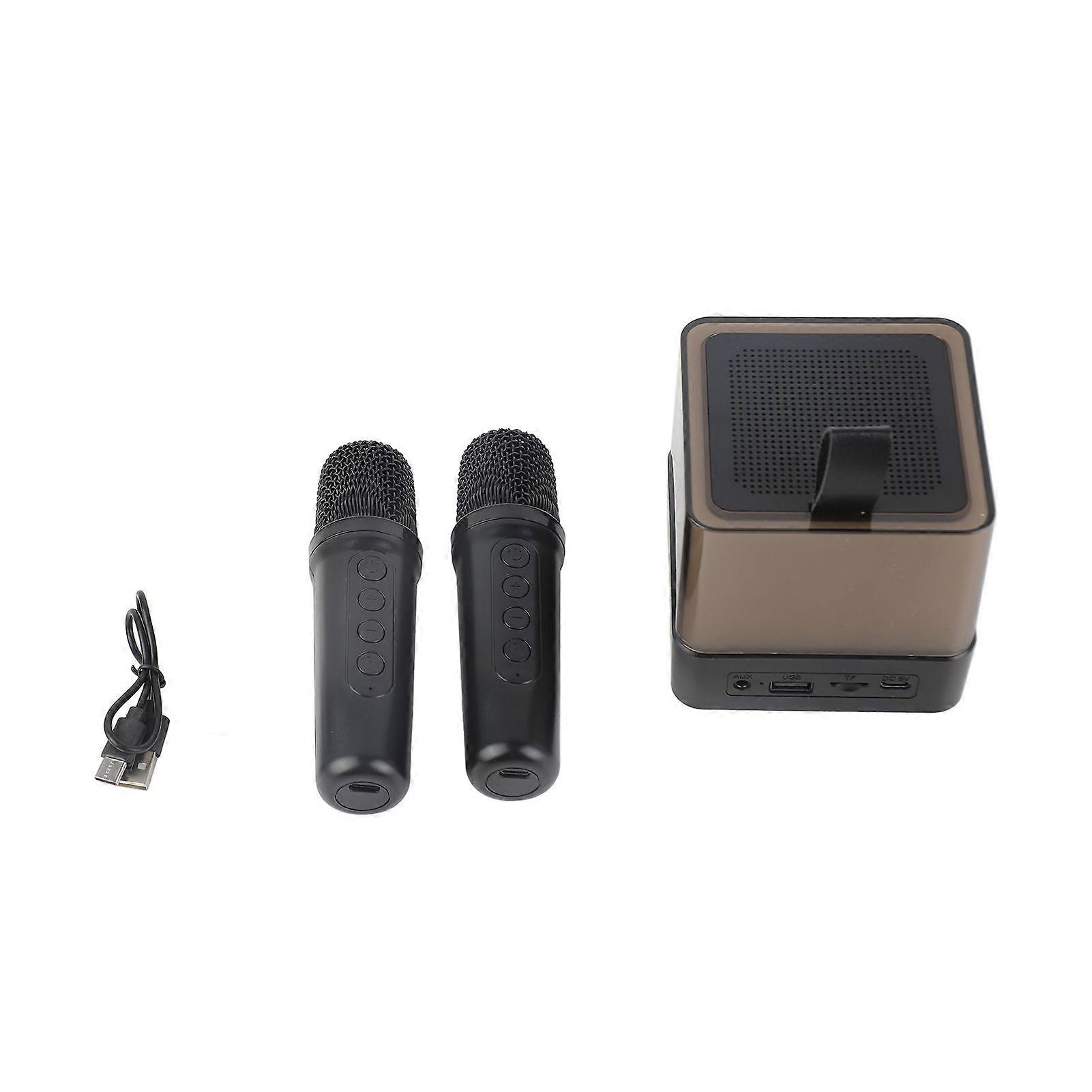 Karaoke Machine for Kids and Adults BT Singing Speaker with 2 Wireless Mics and LED Lights Portable Small Karaoke Machine for Home Party