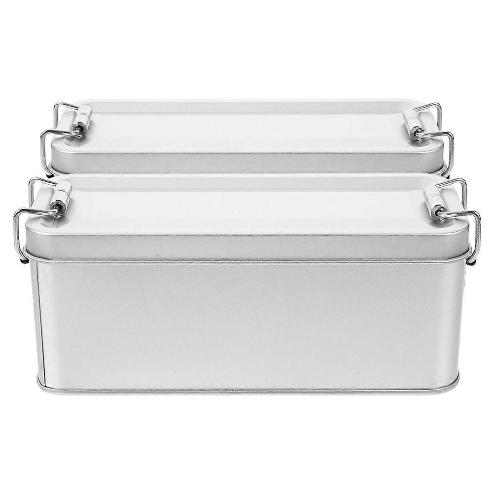 Rectangular Tinplate Box with Buckle, 2pcs Portable Lightweight Biscuit Tins with Lids for Cookie, Candy, Cranberry, and Pineapple Cake Storage