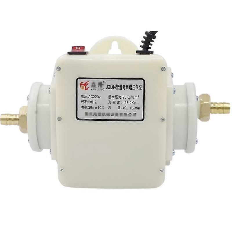 15/20 W Thick Copper Natural Gas Booster Pump with Automatic Controller