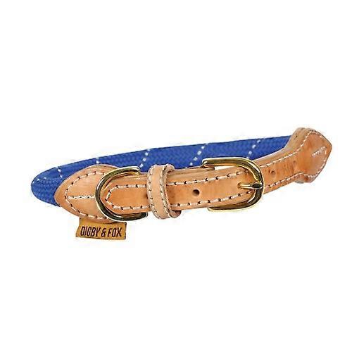 Digby & Fox collier de chien en cuir réfléchissant