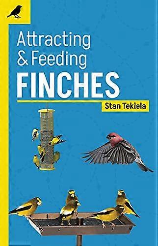 Attracting & Feeding Finches