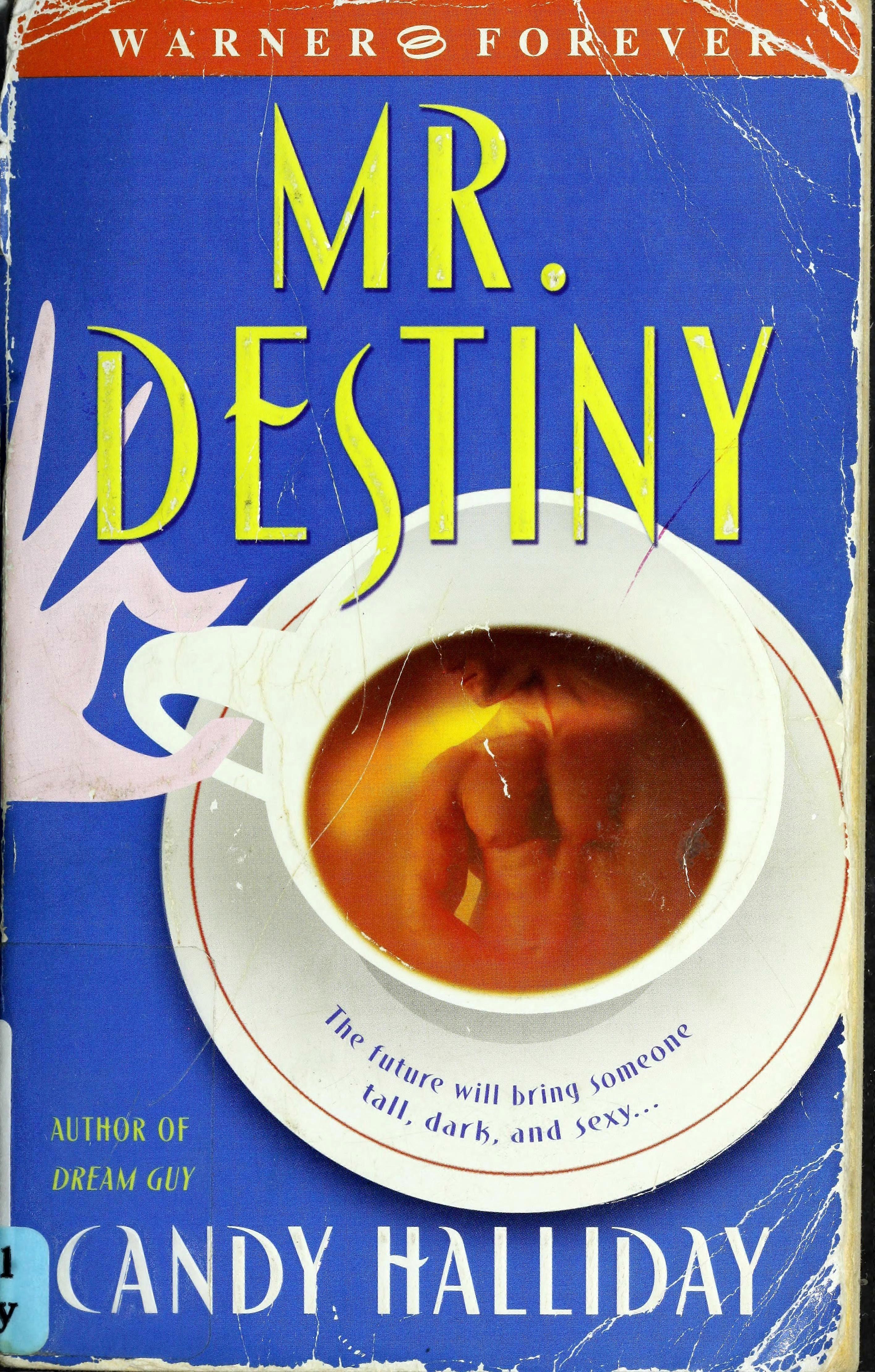 Mr. destiny