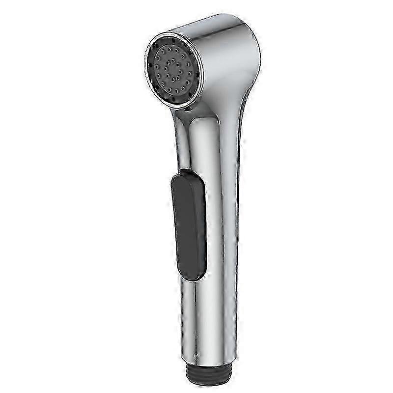 Elate chrome shower head compatible with toilets PD