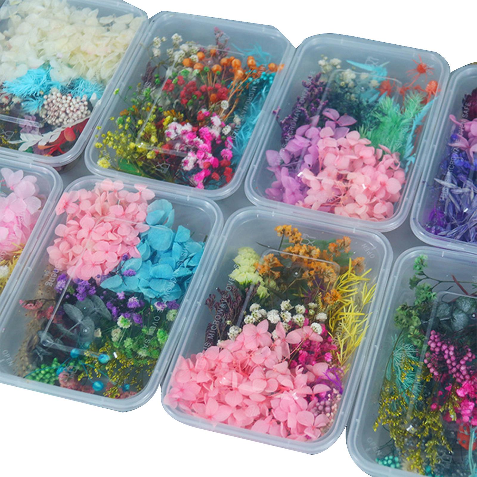 Pressed Flower Mixed Dried Flowers Material DIY Art Floral Decors Collection Gift Craft DIY Home