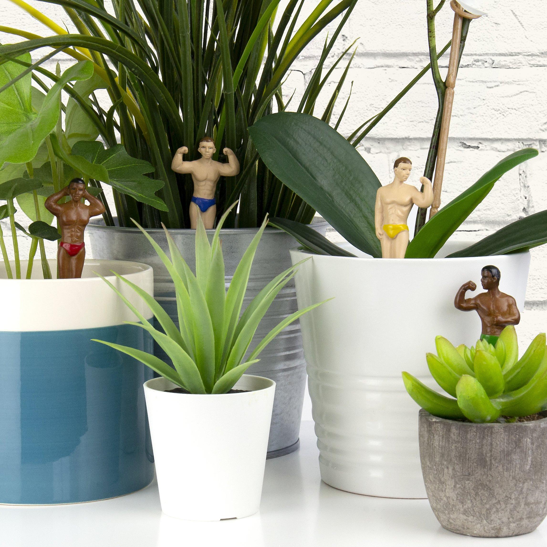 Plant Pot Hunks