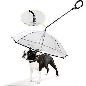 Collier, laisse et harnais pour chien Parapluie avec laisse pour promener votre chien à l’extérieur (neige/pluie)