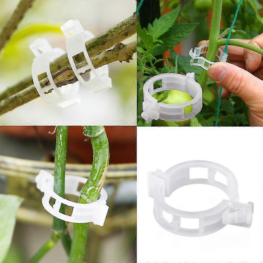 100pc Tomato Clips Supports Connects Plants Vines Cages-csn