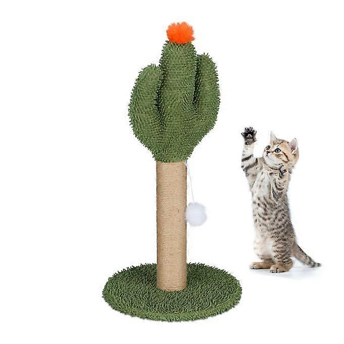 Griffoir cactus