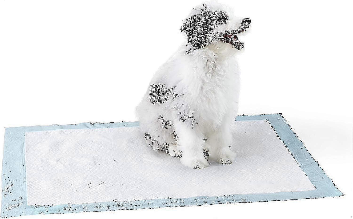 Dog And Puppy Pads, Leak-proof 5-layer Pee Pads With Quick-dry Surface For Potty Training
