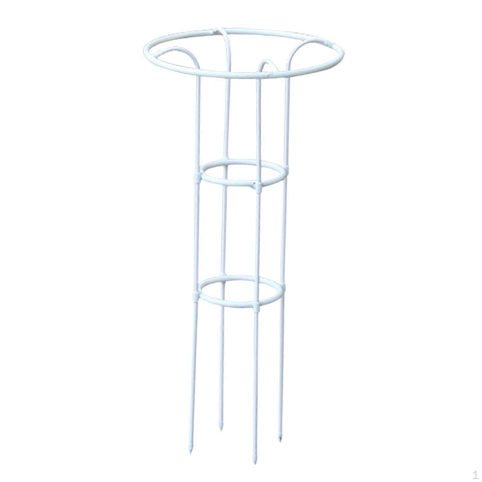 Metal Trellis for Climbing Plants And Vines in The Garden