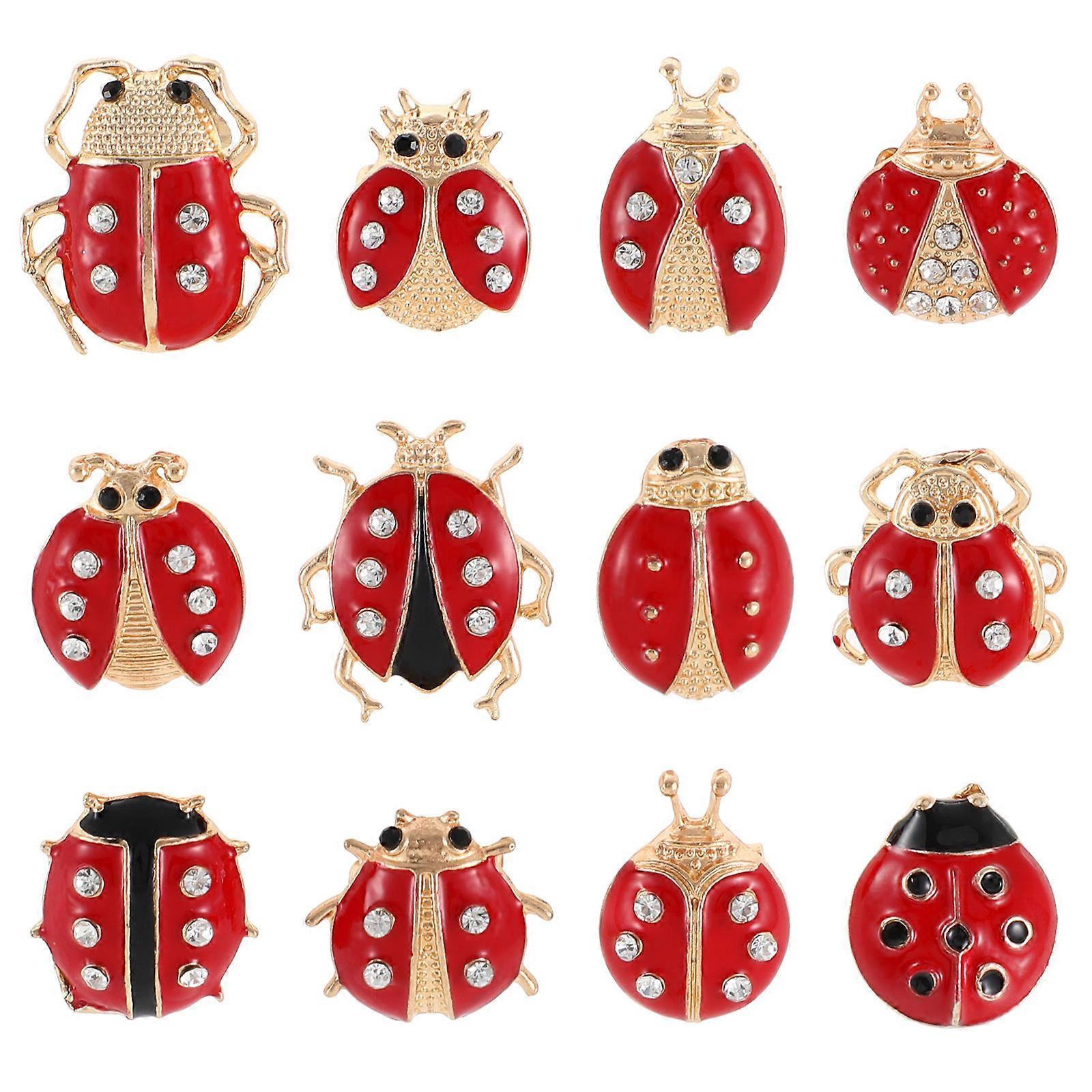 Here's a refined and professional product description for your **12pcs Creative Cartoon Insect Brooch Set**:

 

### 🐞 **12pcs Creative Cartoon
