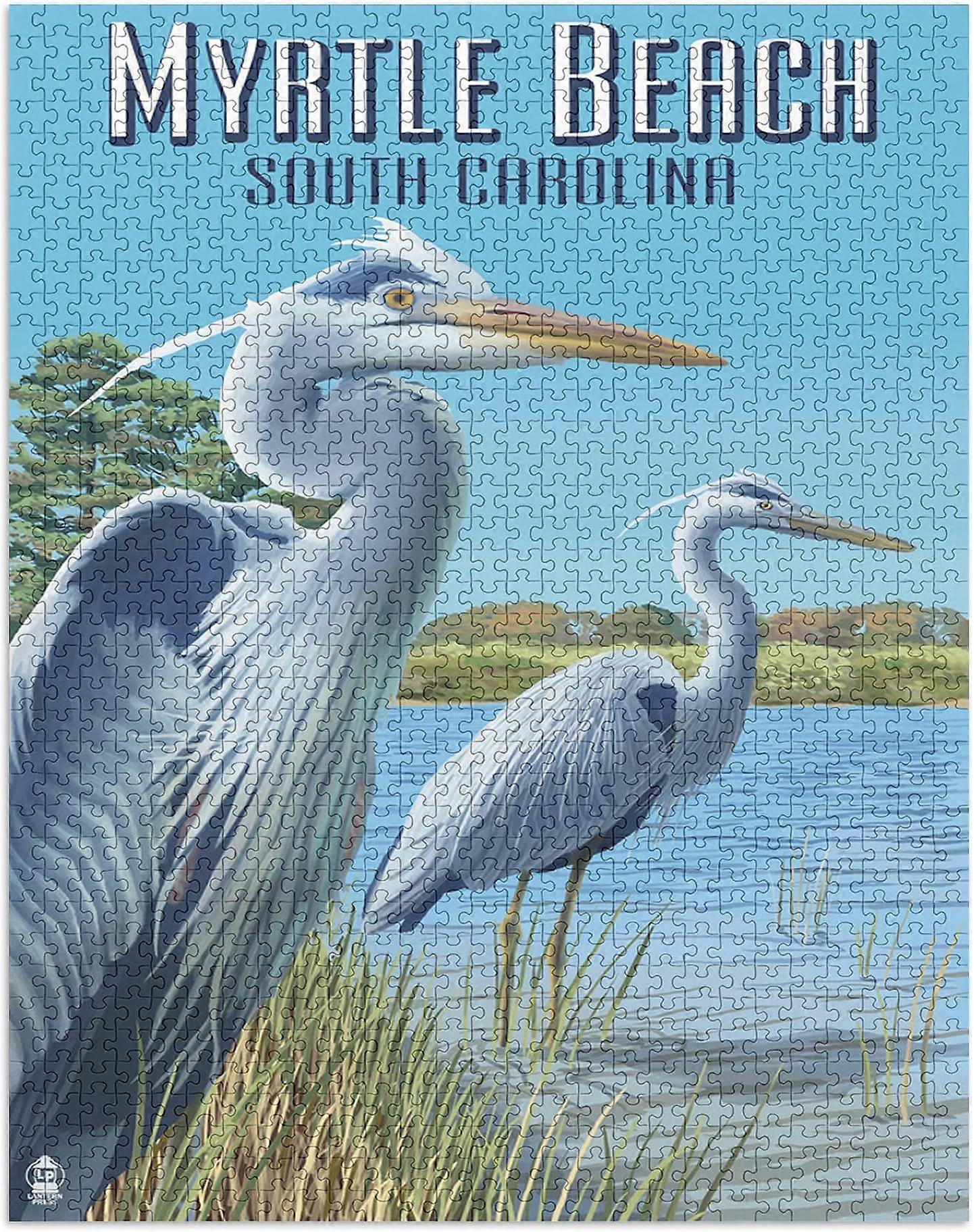 Myrtle Beach, Carolina del Sud - Due aironi azzurri 1000 pezzi Premium Puzzle Style 706