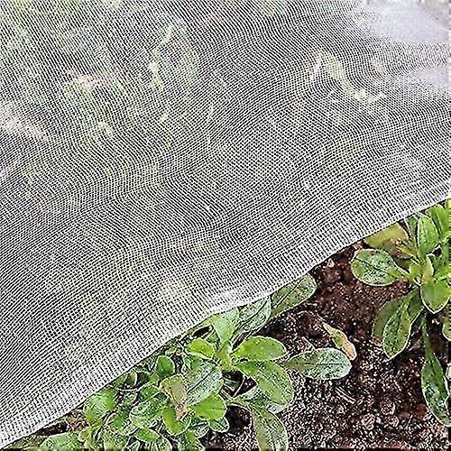 Vegetable Insect Net: 3 x 6m Fine Mesh Protecting Chives Fruit Tree Gardening Plant Veil White