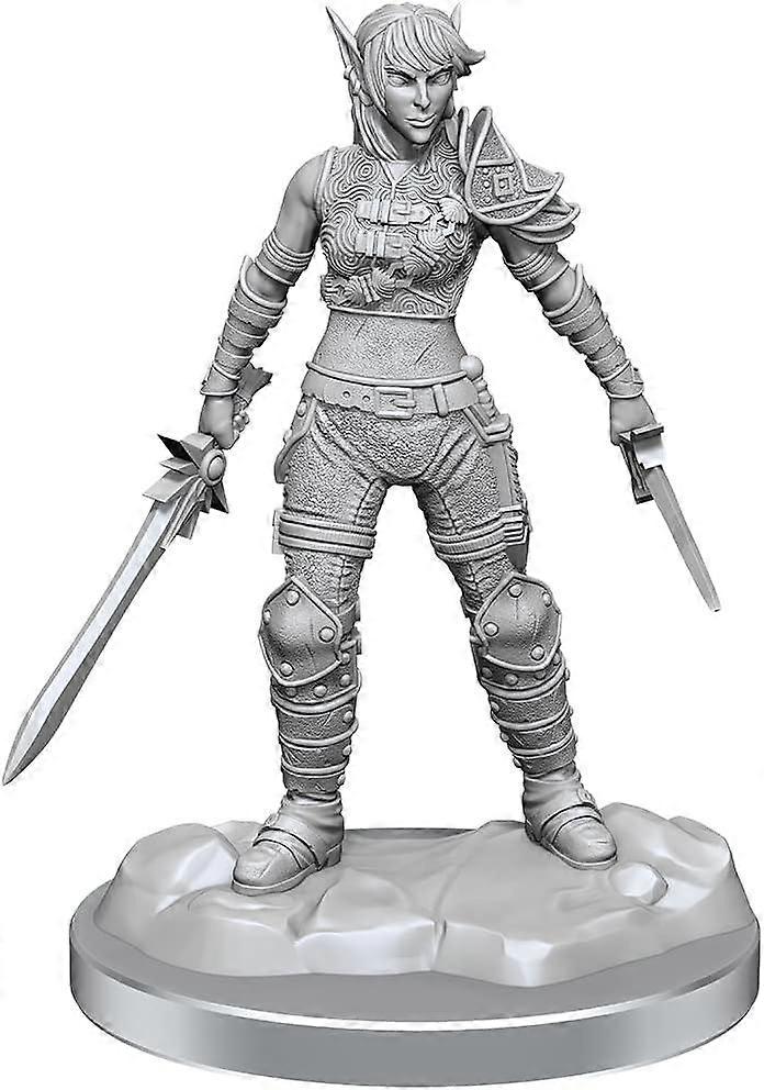 D&D Nolzurs Marvelous Unpainted Miniatures W19 Elf Rogue &Half-Elf Rogue Protégé
