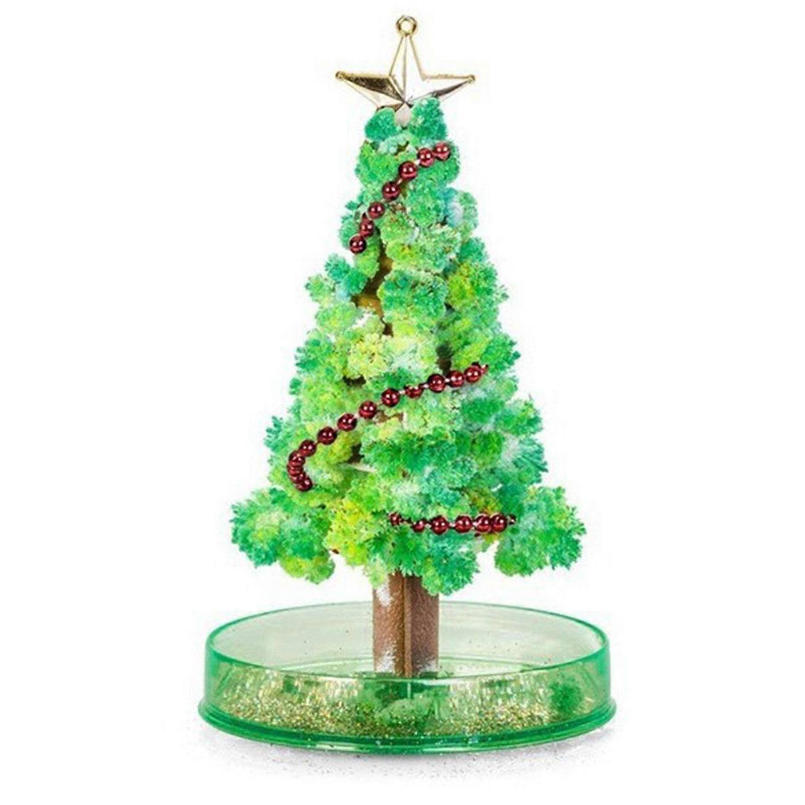 Growing for Christmas Crystals Tree Unique Xmas Present for Classroom Science Project Display
