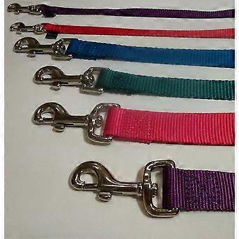 Nylon Leads 4 ft long, to match harnesses and collars