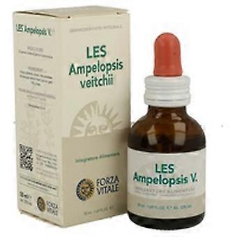 Les ampelopsis veitchii joint and tissue system 50 ml