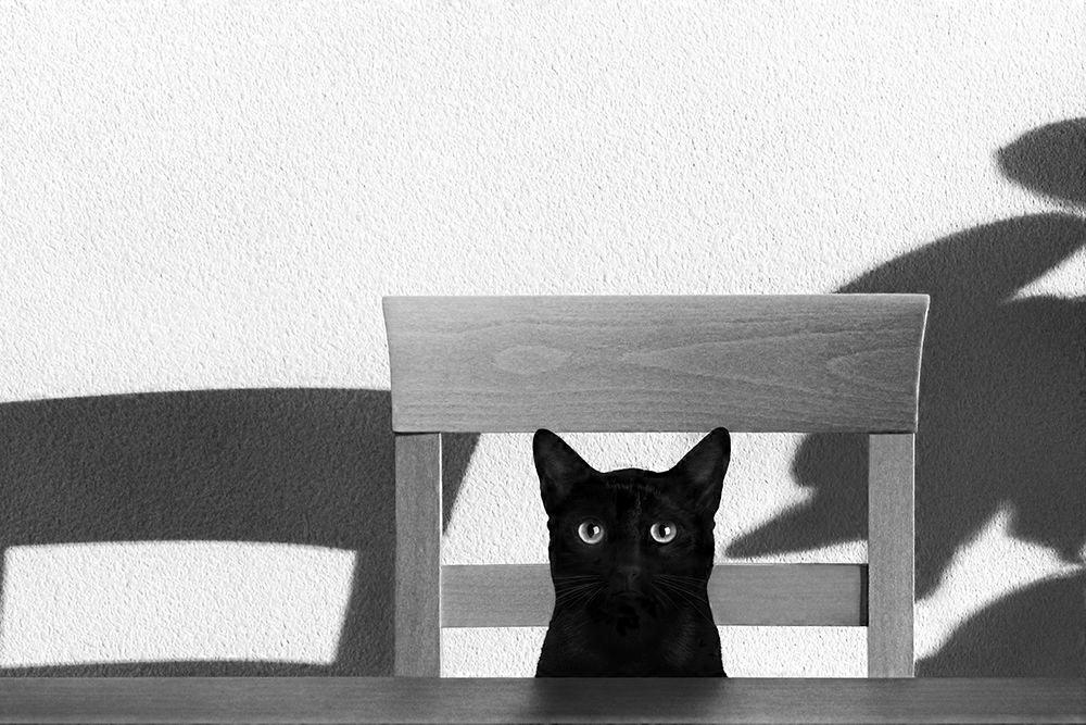 Where Is My Coffee? Poster