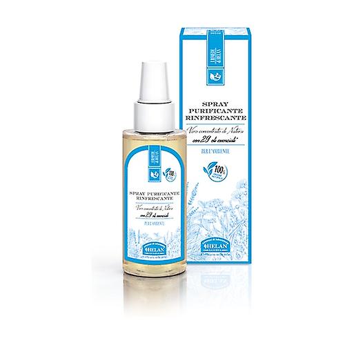 Refreshing Purifying Spray For Environment 100 ml