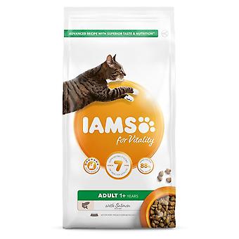 Iams Vitality Adult Cat Dry Food Salmon 2kg
