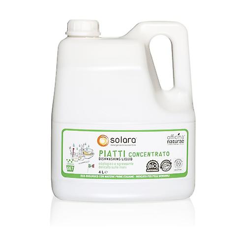 Solara Dishes 4 L