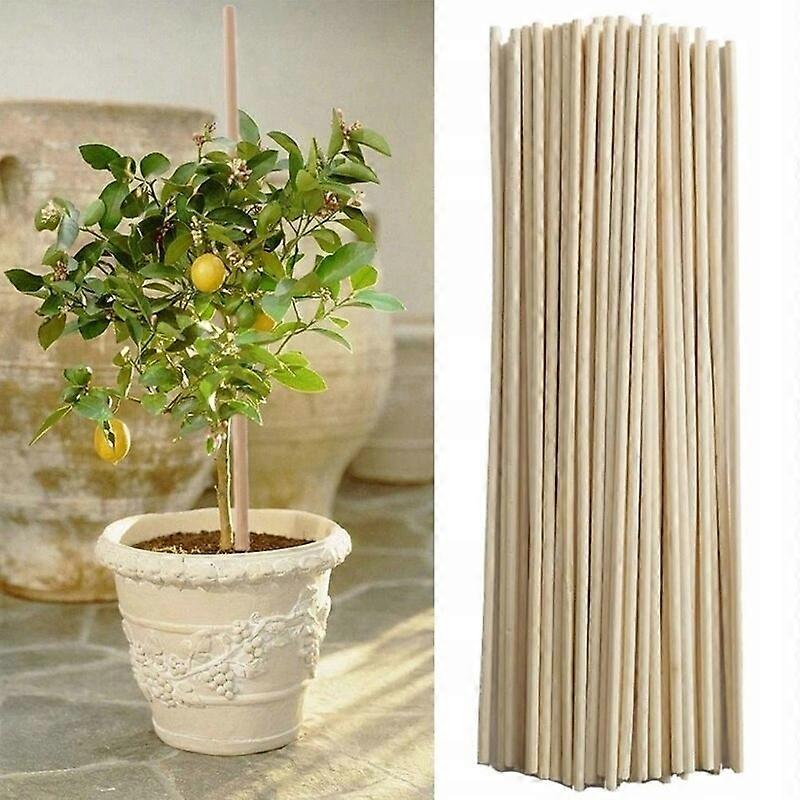 50st Växttillväxt Stöd Bar Bambu Stick