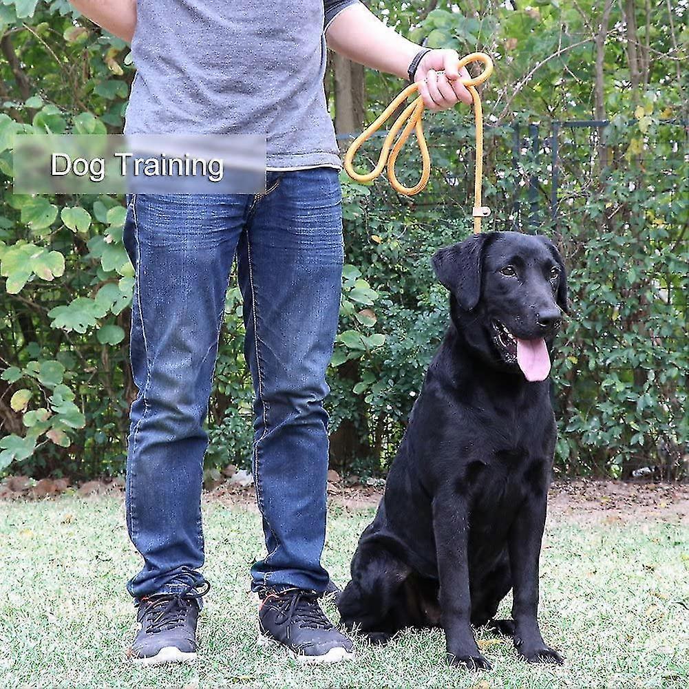 Small, Medium And Large Pet Training Lasso Reflective Leash Strap-150 Cm Long (orange)