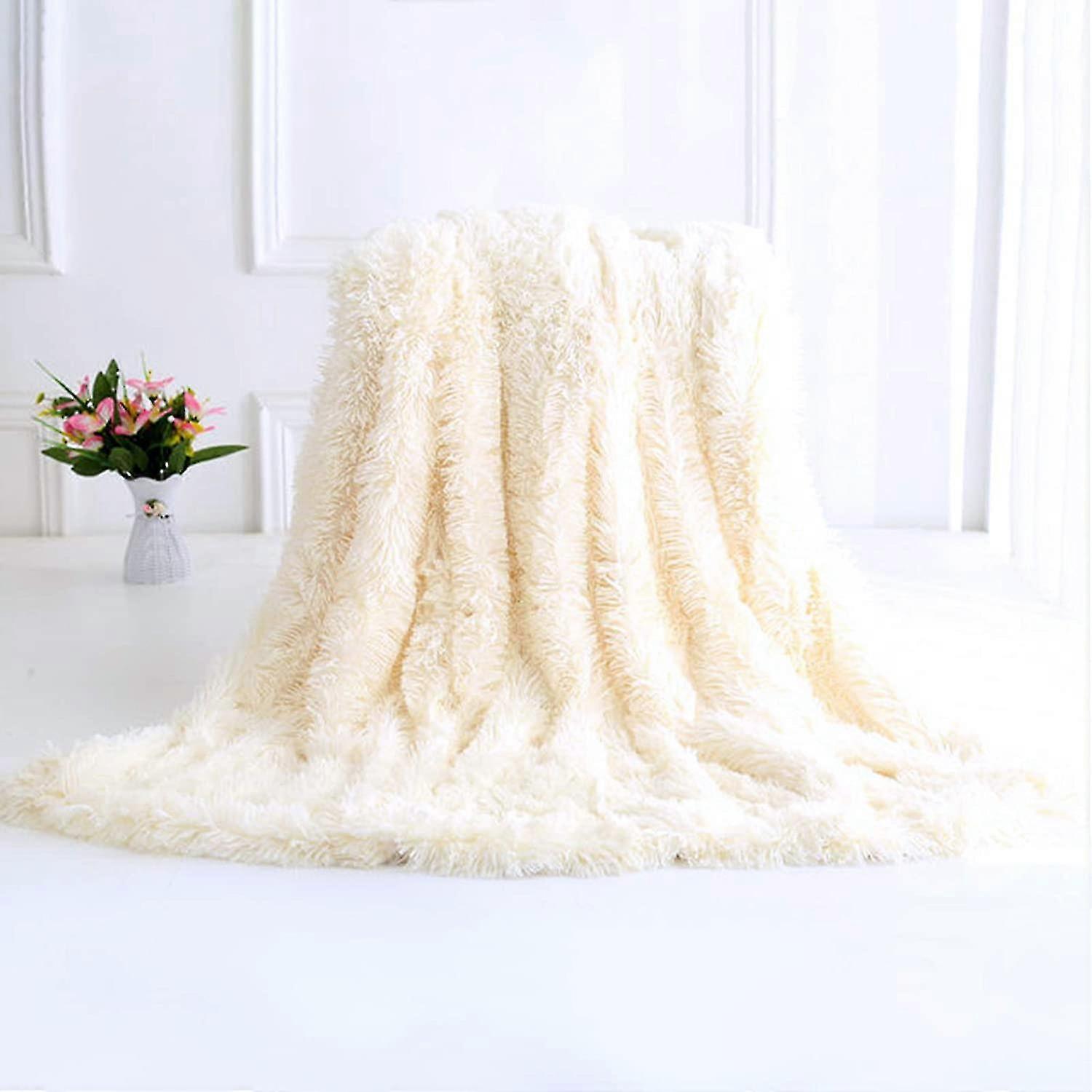 160 * 200cm Super Soft Warm Plush Throw Blanket Double Sided Fleece Blanket(white)