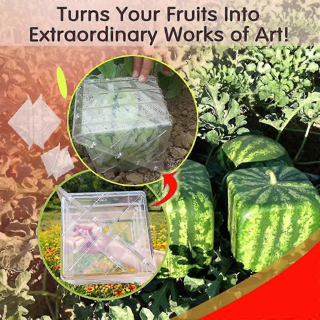 Magic Square-shaped Watermelon Shaping Growth Molds