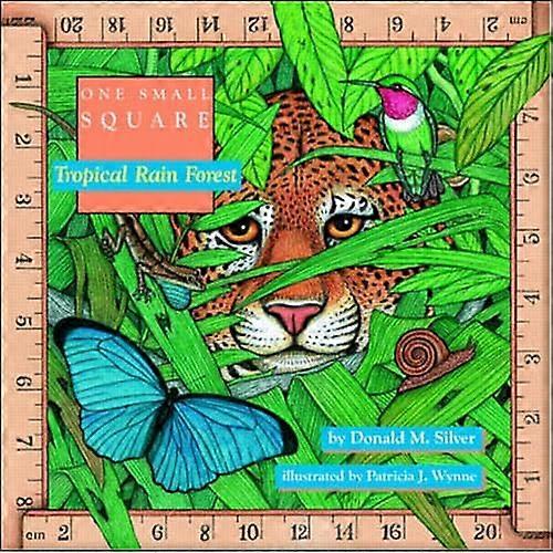 Tropical Rain Forest (One Small Square)