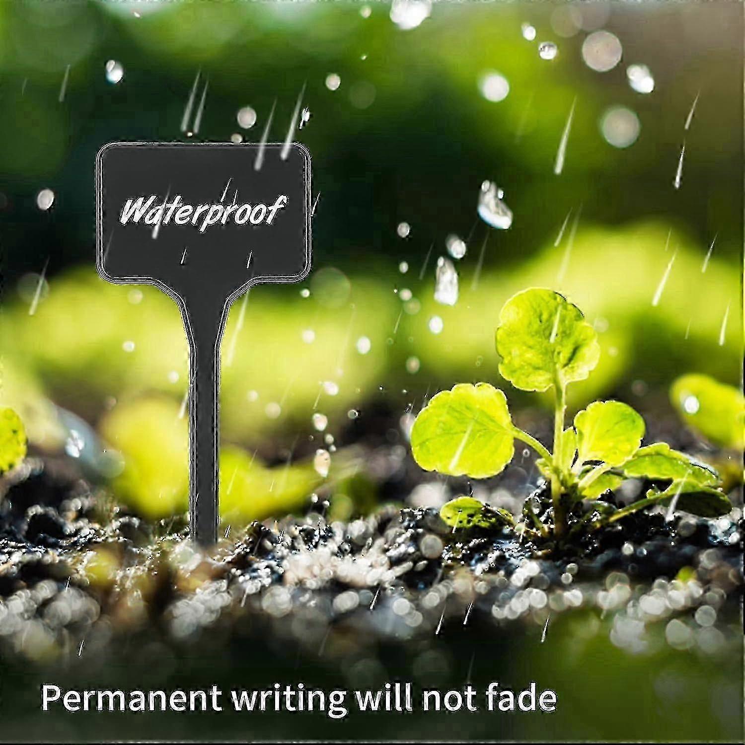 FFY 50 Pack Thick Plastic Plant Labels - Black