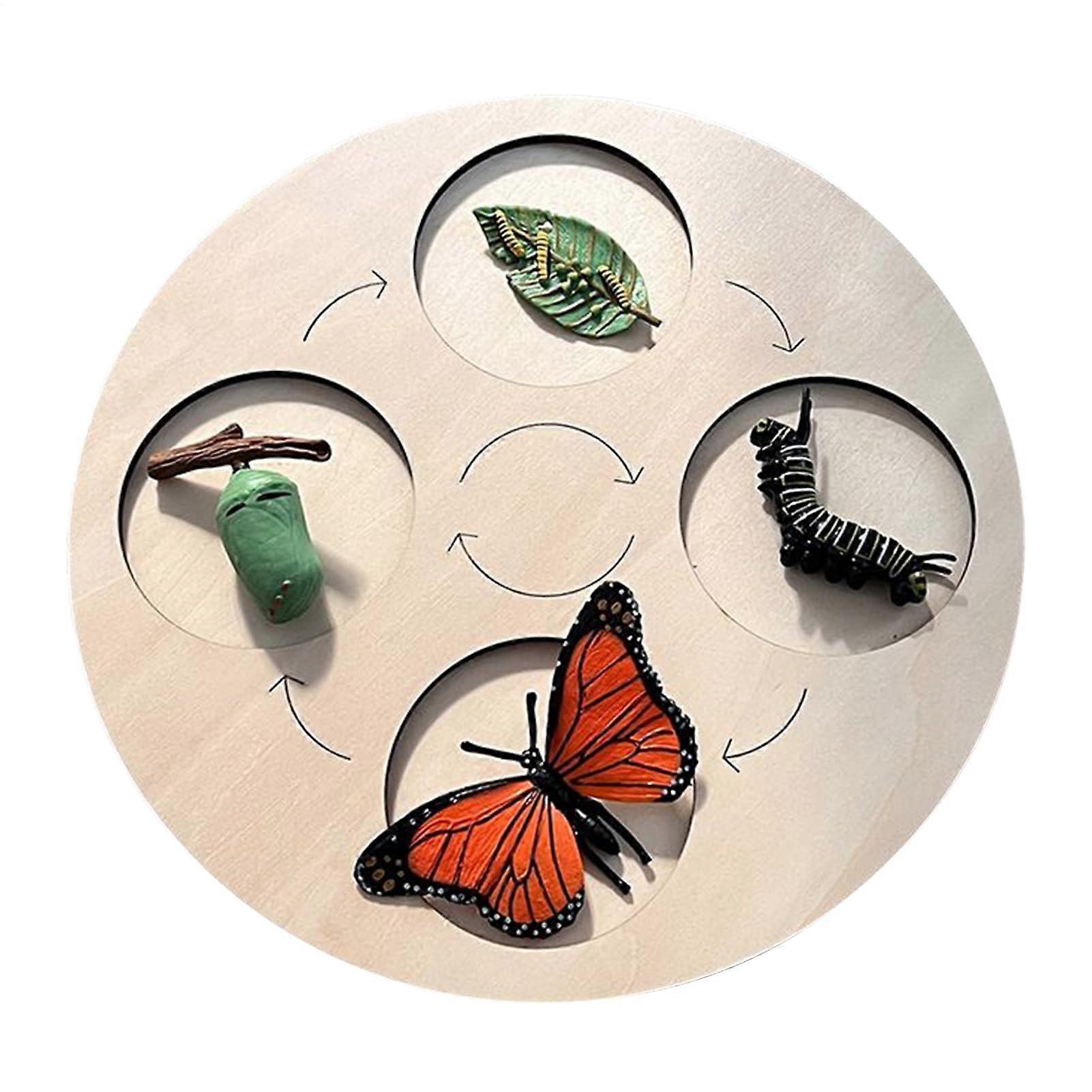 Butterfly Life Cycle Learning Set Wooden Educational Board Toy Colorful For Toddlers Hen And Butterfly Life Cycles