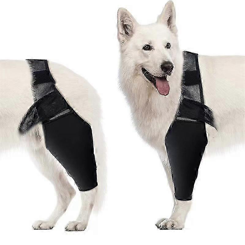 Adjustable Pet Knee Brace Adjustment Fixing Strap Injury Knee Support for ACL Tear and Hip Support