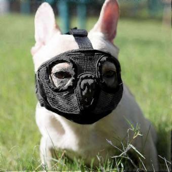 Soft Adjustable Dog Muzzle compatible with Shih Tzu & Pekingese – Comcompatible witht Fit Design