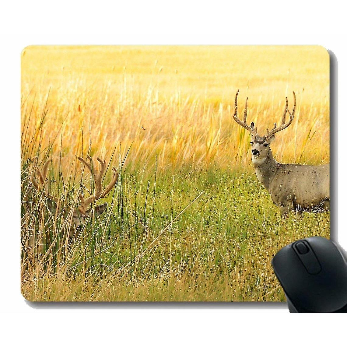 (300x250x3) Mouse Pad Grass Meadow Looking Rack Edges