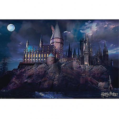 Harry Potter Hogwarts Scene Poster