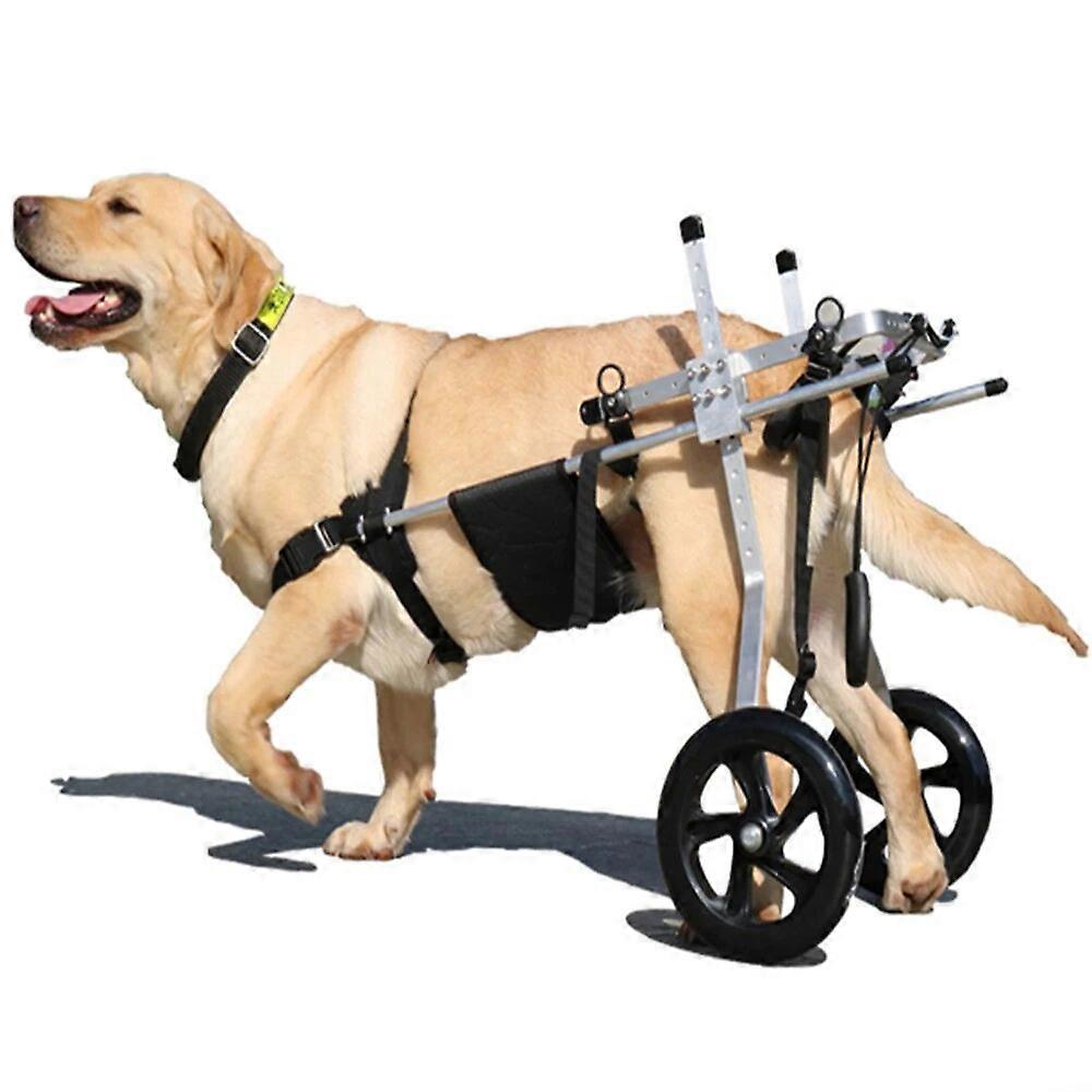 Moyen Grand Chien Fauteuil Roulant Arrière Membre De Rééducation Formation Aralysis Désactivé Auxiliaire Jambe Arrière Support Chien Scooter