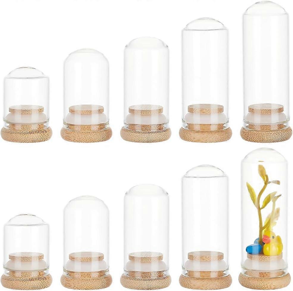 10PCS Glass Bottles with Cork Stoppers 5 Style Glass Display Cloche Dome Storage Decorative Bottle Sand Art Bottles Decorative Bottles for Wedding Fav