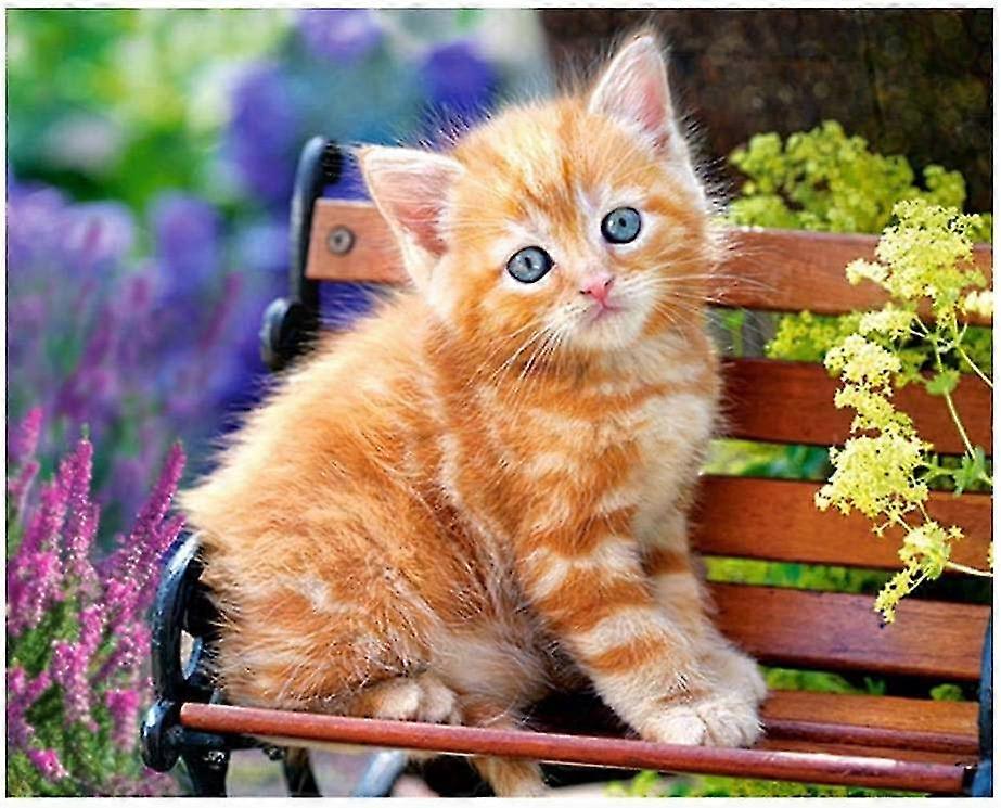 5D الماس اللوحة مجموعات كاملة مجموعات دي القط الماس اللوحة اليدوية الفن الكامل الحفر كريستال الصليب غرزة للمنزل الجدار الديكور هدية