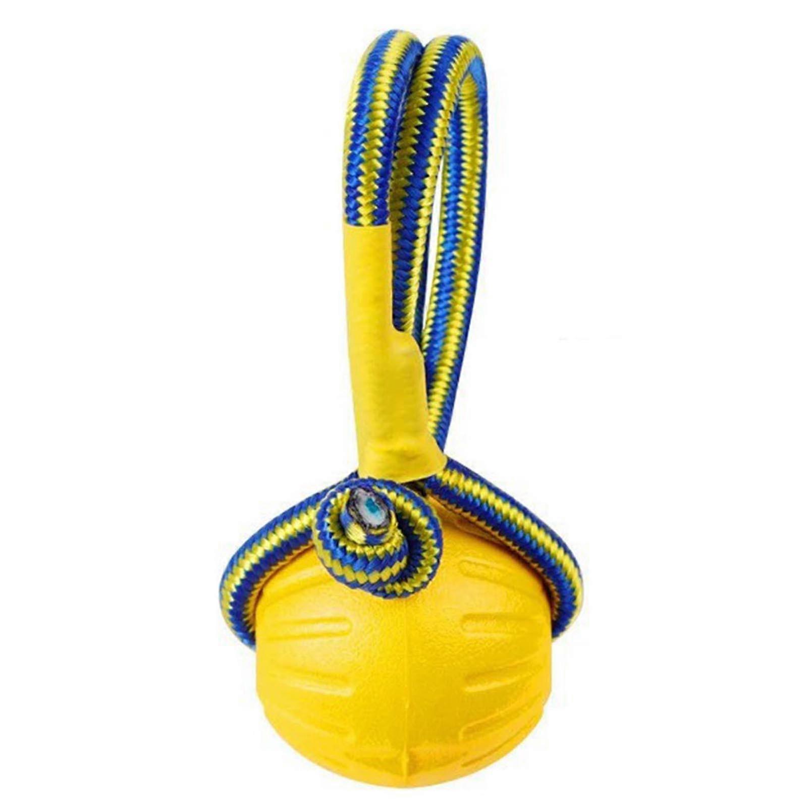 Fun Interactive Dog Toy Rolling Ball Durable Floating Water Ball Dog Training