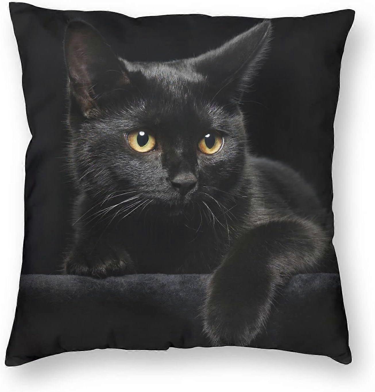 Black Cat Decorative Throw Pillow Covers Pillows Case Square Cushion Cover