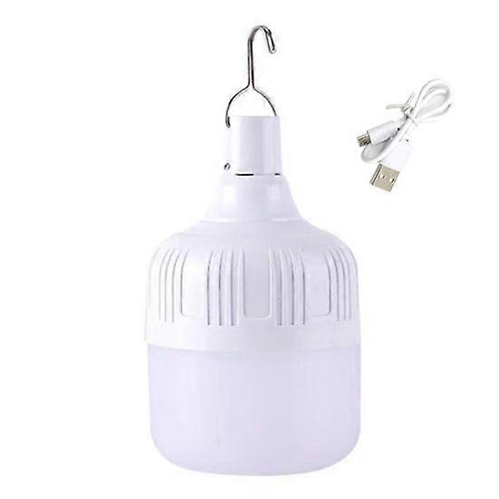 Night Lamp High Brightness Flicker Free Non-glaring Energy-saving with Hook Illumination Camping LED Lamp Emergency Light Camping Supplies