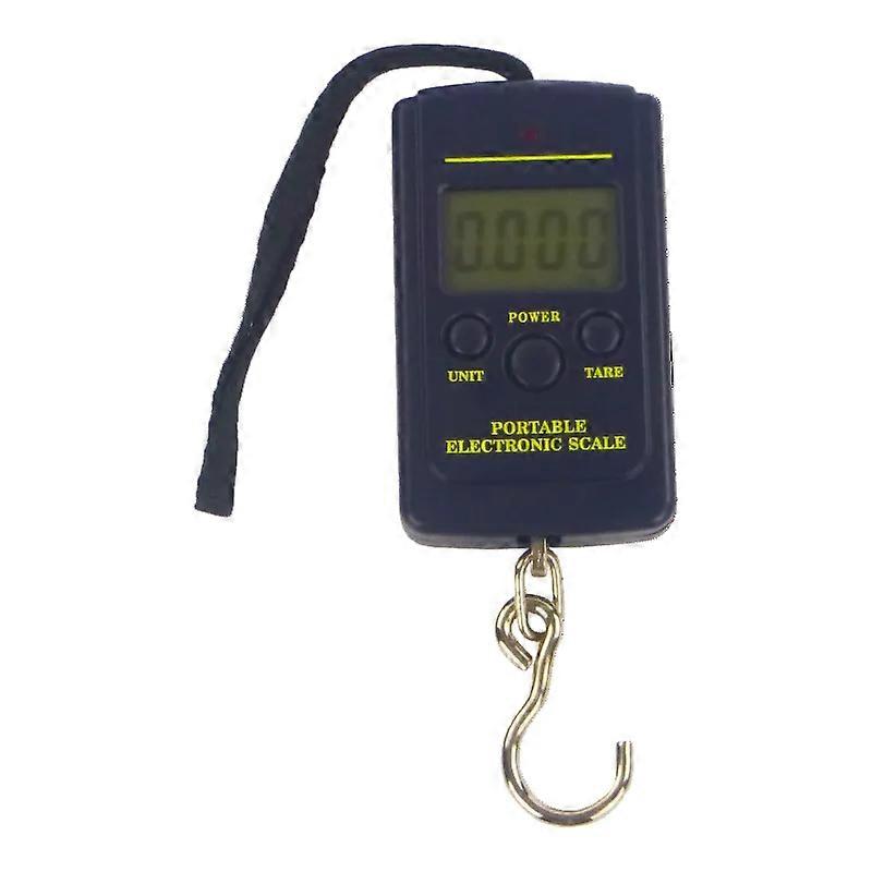 Rig Ezy Electronic 40Kg Capacity Scales
