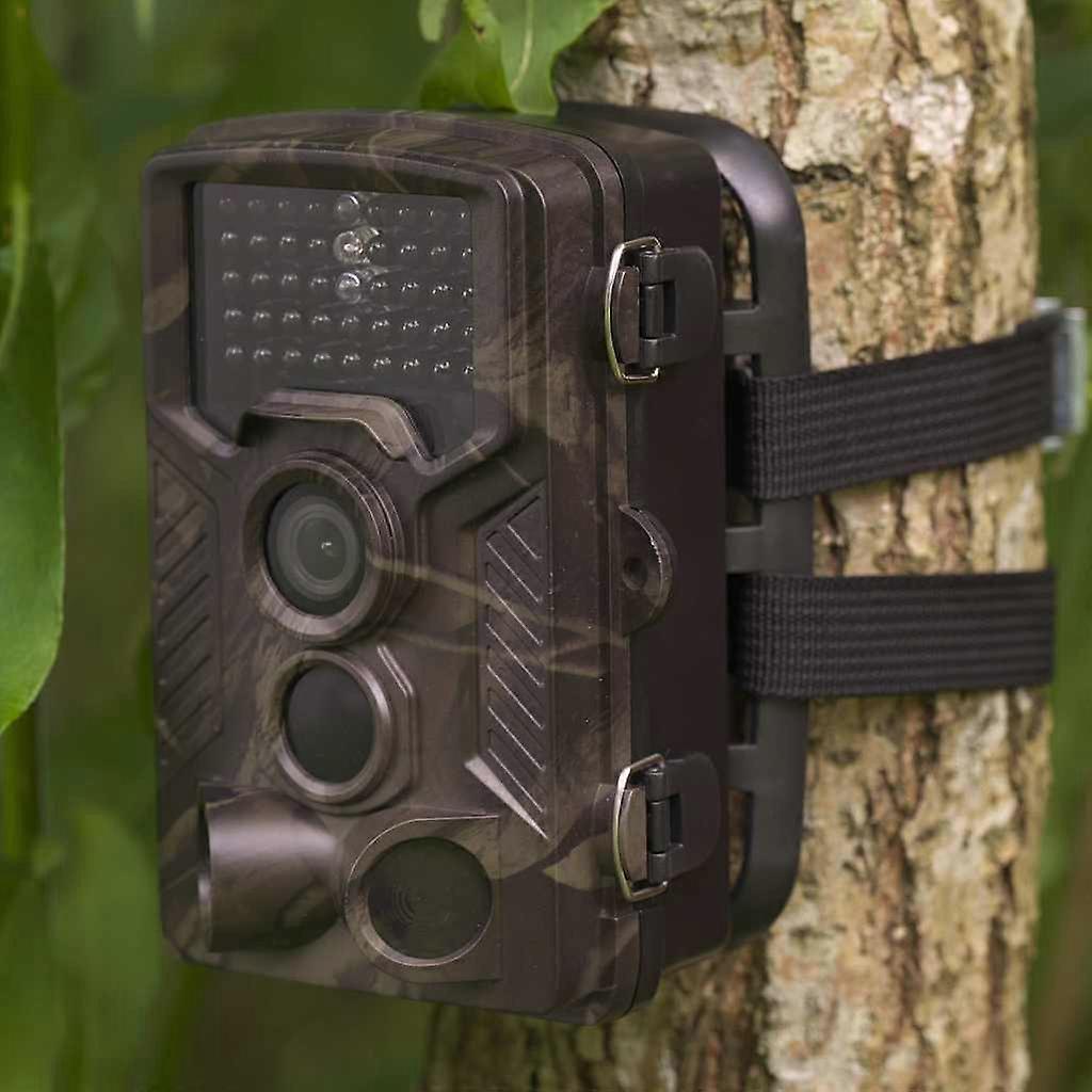 DENVER Wildcamera