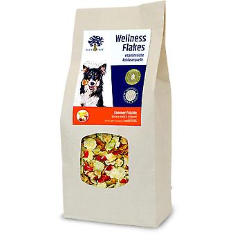 Wellness Flakes Summer Fruits 650 G Dog Treats