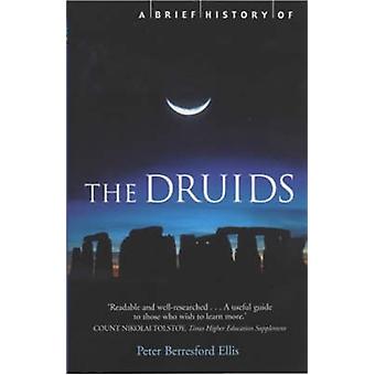 Brief History Of The Druids - Peter Ellis